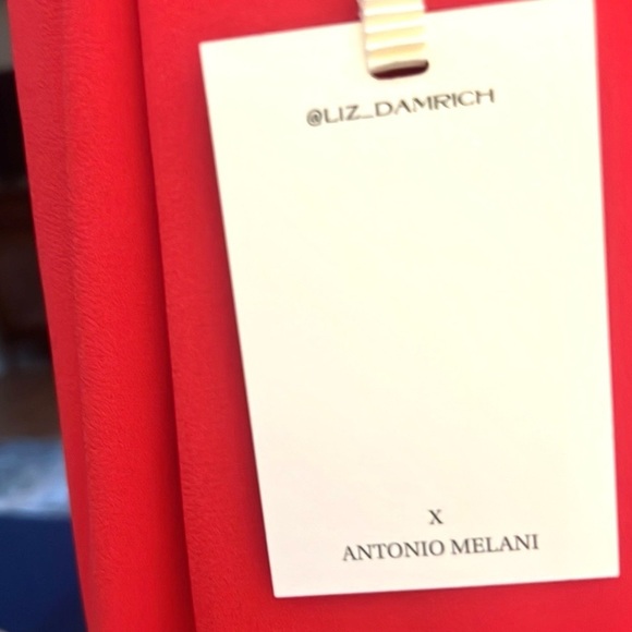 NWT, Antonio Melani × Elizabeth Damrich Radzwill Crepe Strapless Dress Size 6 - Picture 8 of 16